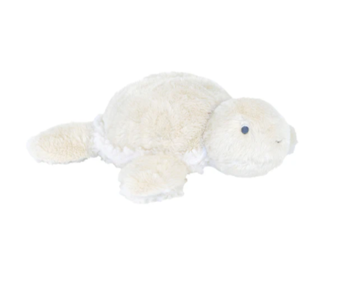 Черепаха Терри