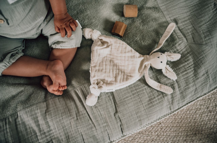 Sleep Tuttle (Sarılma Bezi)