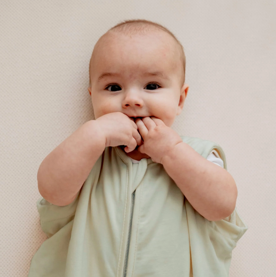 حقيبة لحديثي الولادة (0-6 أشهر)