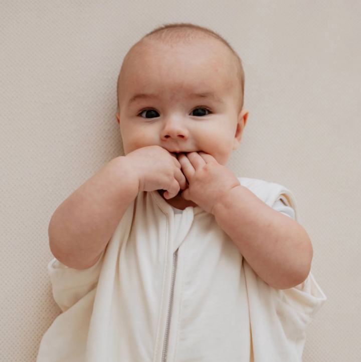 حقيبة لحديثي الولادة (0-6 أشهر)