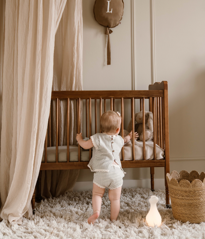 Rose Vintage Crib