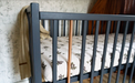 Woodies Star Dust Cot - Anthracite (nearly black)  - Hola BB