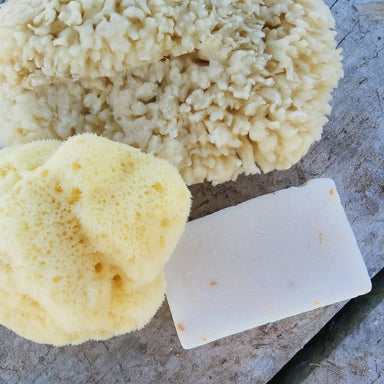 Cocoon Cocoon Silk sea sponge, 10-11cm  - Hola BB